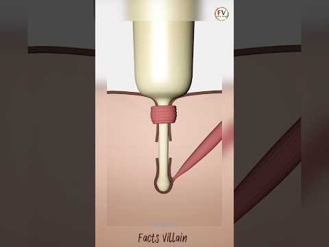 How Porcupin Shoot Their Quills || Powar Porcupin Danger Porcupin ||...