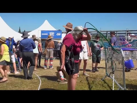 Music lovers gather for Waterfront Blues Festival in Portland despite scorching heat