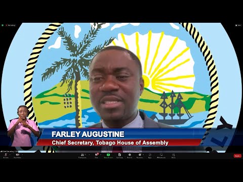 Farley Augustine Calls For Legislative Authority