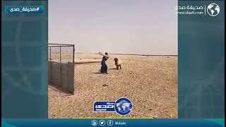 وش يفك بينهم