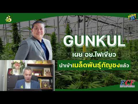 ช่วงที่-3-ข่าวเด่น-บจ.---กล้วย ช่วงที่-3-ข่าวเด่น-บจ.---กล้วย