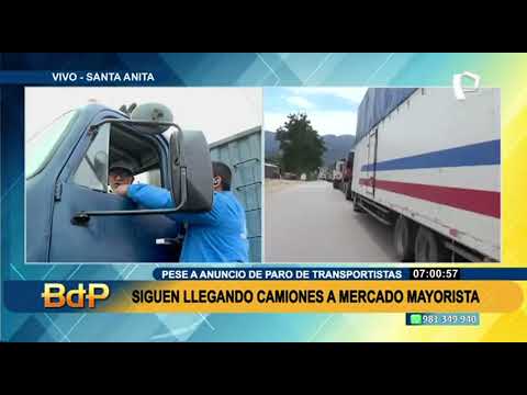 Paro de transportistas: Camiones llegaron con normalidad al Mercado Mayorista de Lima (1/2)