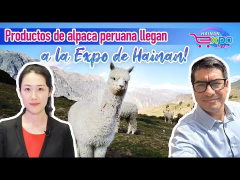 Productos de alpaca peruana llegan a la Expo de Hainan 2024