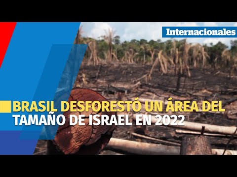 Brasil desforestó un área del tamaño de Israel en 2022