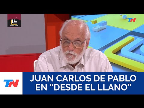 Juan Carlos de Pablo: La política económica de Milei son tres palabras: no hay plata.