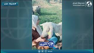 خربوا الجلسه عليها