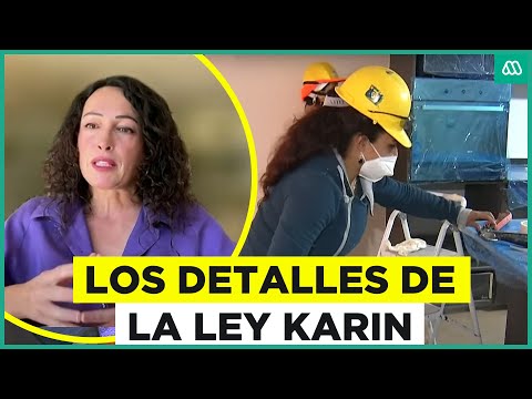 Los detalles de la Ley Karin sobre el acoso y violencia laboral en Chile
