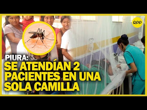 Dengue en Perú: 30% de casos de dengue en Piura son niños y adolescentes