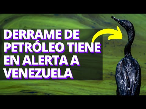 Venezuela: derrame de petróleo causa catástrofe en Zulia