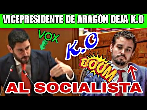 VICEPRESIDENTE DE ARAGÓN, VOX, DESTROZA AL SOCIALISTA, EL PSOE NO PUEDE DAR NINGUNA LECCIÓN