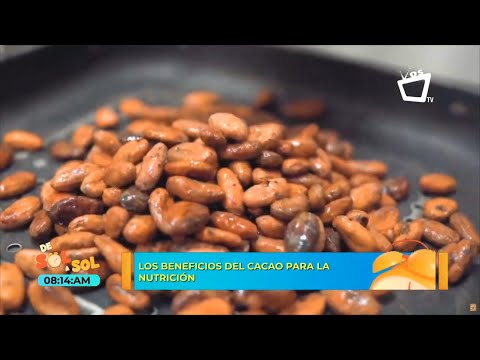 Cacao, un alimento de alto valor nutricional