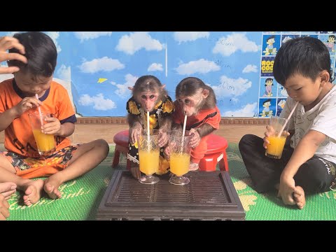 Mimi Kuku politely sat in line with her brother waiting for Mom to squeeze oranges