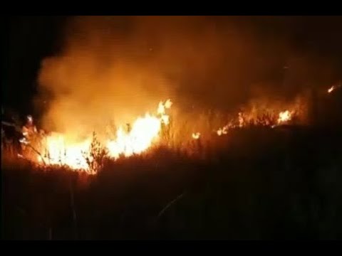 Incendios afectan al parque Tunari