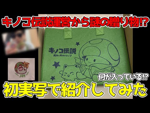 【キノコ伝説】キノコ伝説運営から謎の贈り物が届いたので初実写で紹介してみた！！！お得に課金ができるアプリの紹介も！