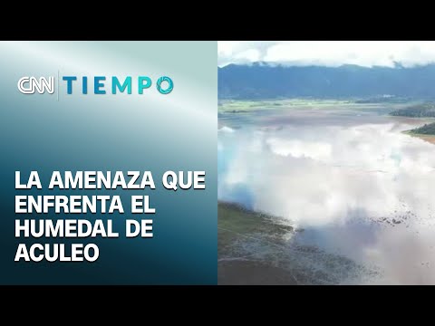 Greenpeace busca proteger humedal urbano de Aculeo | CNN Tiempo