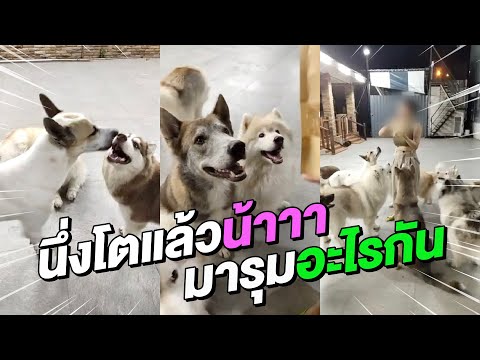 นึ่งโตแล้วน้าาา-แต่พี่พี่มารุม นึ่งโตแล้วน้าาา-แต่พี่พี่มารุม