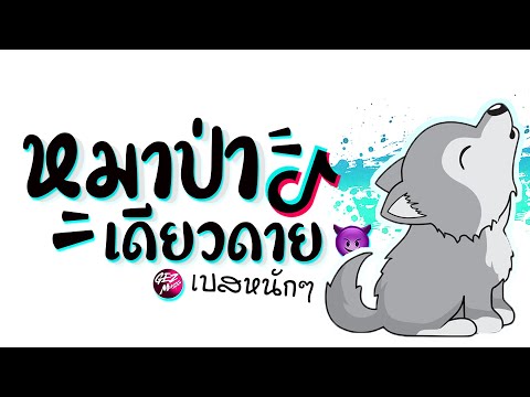 เพลงหมาป่าเดียวดายเเดนซ์X3