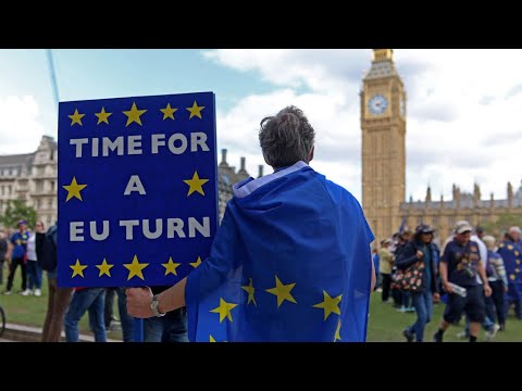 À Londres, des milliers de manifestants demandent le retour du Royaume-Uni dans l'UE • FRANCE 24