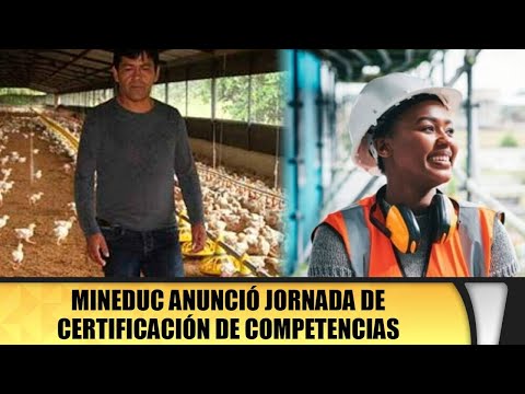 Mineduc anunció jornada de certificación de competencias laborales