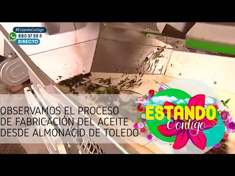 Observamos el proceso de fabricación del aceite desde Almonacid de Toledo