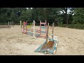 Springpaard 9 jarige veelzijdige springmerrie