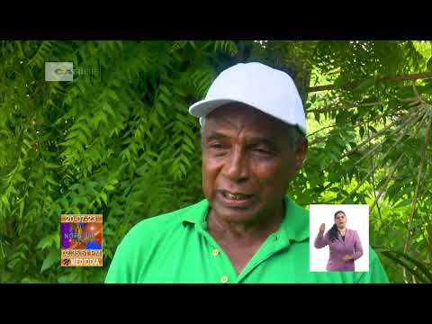Cuba: Evaluan marcha de la Agricultura urbana en Camagüey