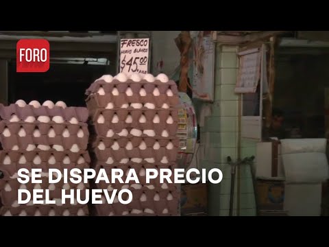 ¿Por qué aumentó el precio del huevo? - Noticias MX