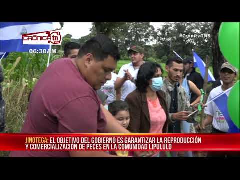 Inauguran estanque de peces para la vida en Jinotega - Nicaragua