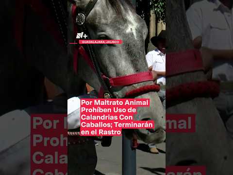 Por maltrato animal prohíben uso de calandrias con caballos; terminarán en el rastro - N+ #Shorts