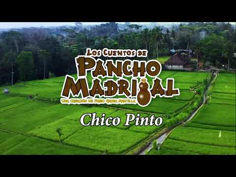 Cuentos de Pancho Madrigal  - Chico Pinto -  Cosas del Campo Padre Madrigal
