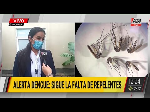 Dengue en Tucumán: 19.342 casos acumulados