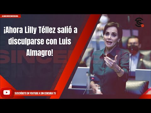 ¡Ahora Lilly Te?llez salio? a disculparse con Luis Almagro!