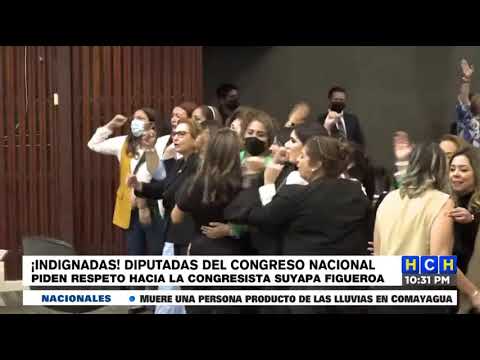Diputada Suyapa Figueroa reclama respeto al diputado Manuel Rodríguez en el Congreso Nacional