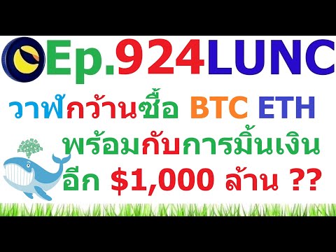 จารย์ต้น คริปโตสายมู Ep.924วาฬกว้านซื้อBTCETHพร้อมๆกับการมิ้นเงินอีก1,000ล้านดอลล