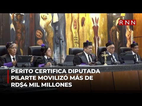 Perito certifica diputada pilarte movilizó más de RD$4 mil millones