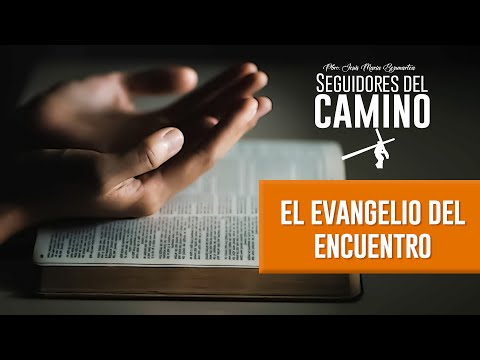 El Evangelio del Encuentro - Padre Jesús María Bezunartea