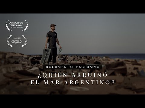 ¿Quién arruinó el mar argentino? Un road trip patagónico tras las huellas de la contaminación
