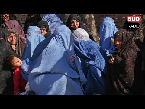 La France doit-elle accueillir des femmes afghanes ?