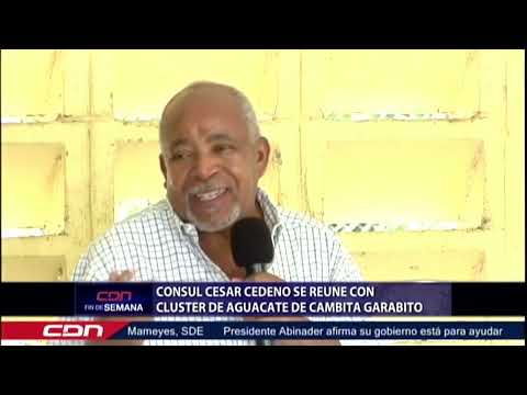 Cónsul Cesar Cedeño se reúne con Cluster de aguacate de Cambita Garabito