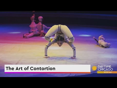 The Art of Contortion