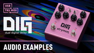 New DIG Audio Examples | Strymon