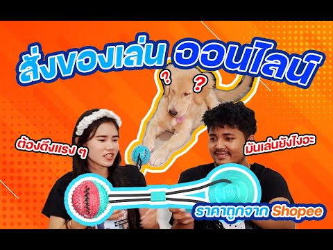 สั่งของออนไลน์-ให้น้องหมา-เชือ สั่งของออนไลน์-ให้น้องหมา-เชือ