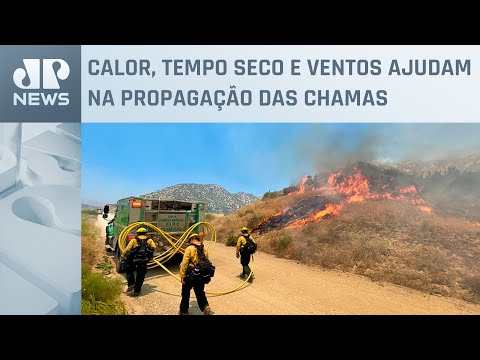 Mais de mil bombeiros tentam conter fogo na Califórnia