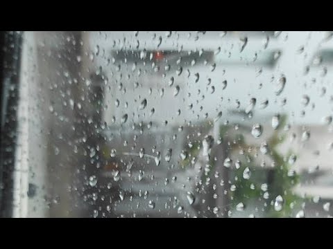สวัสดีครับวันฝนตก สวัสดีครับวันฝนตก