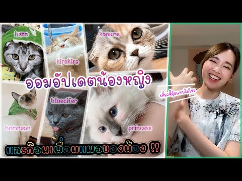 Aom-CGM48-ออมอัปเดตน้องหญิง..แ Aom-CGM48-ออมอัปเดตน้องหญิง..แ