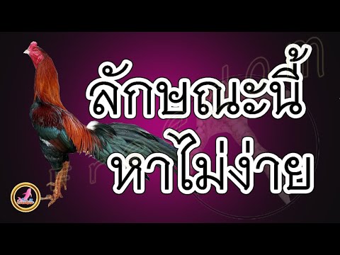 แค่เกล็ดนิ้วยังหายาก...!!!