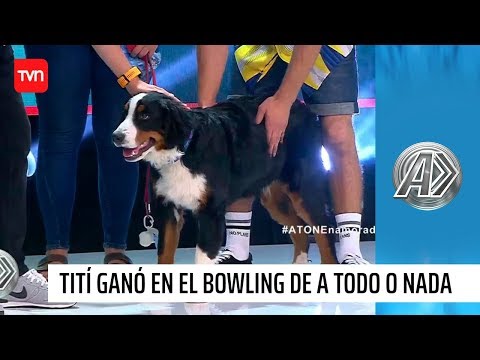 Titi, la tierna perrita que desafío el bowling y salió victoriosa| A todo o nada