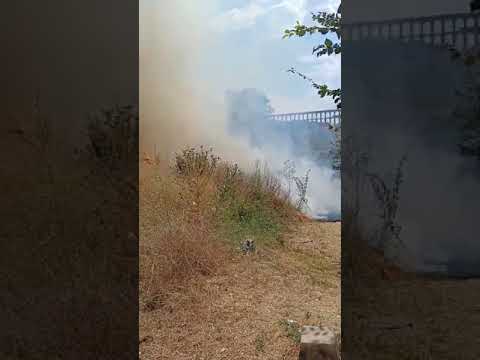 Sucesos en Segovia. Incendio en San Lorenzo a la altura del Centro de Salud 26/7/2024