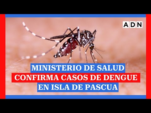 Confirman casos de dengue en Isla de Pascua
