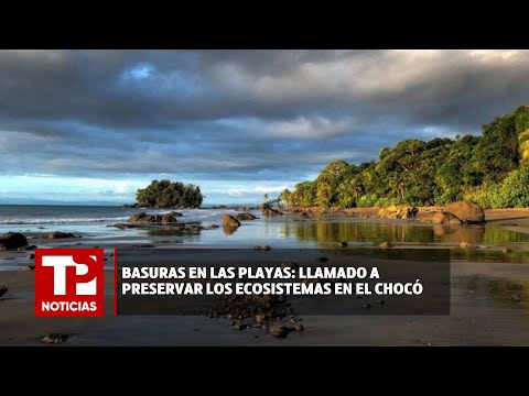 Basuras en las playas: Llamado a preservar los ecosistemas en el Chocó |10.03.2024| TP Noticias
